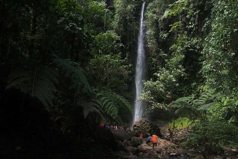 Waterfall at the Hola Vida Reserve