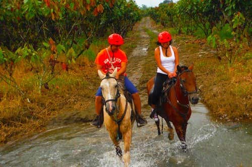 Balade à cheval à la découverte de Bucay