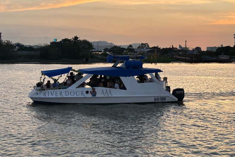 Enjoy a sunset cruise on a catamaran