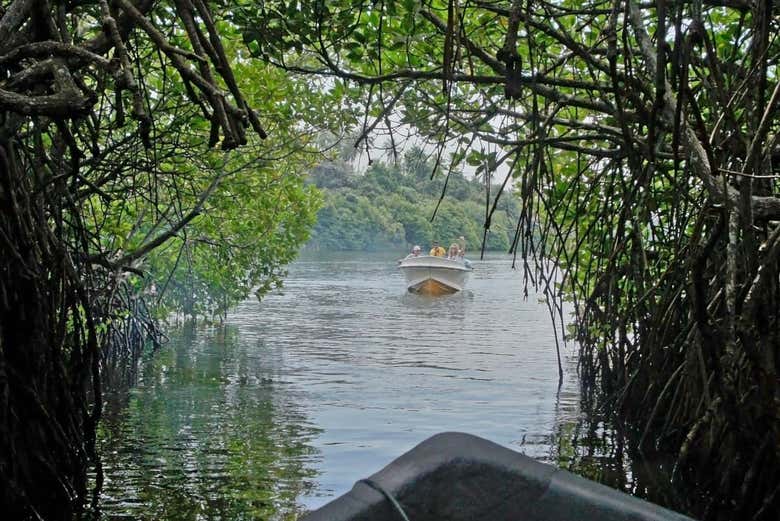 Navegando en lancha por la reserva Manglares Churute