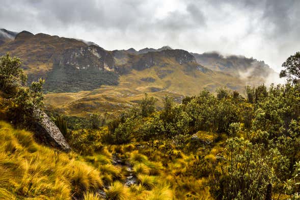 Cajas National Park Hiking Activity