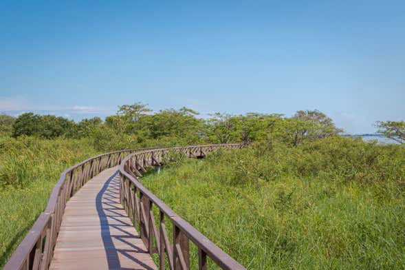 Tour por el Parque Histórico + Barco a la isla Santay