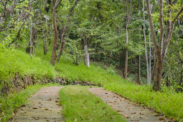 Guayaquil Botanical Garden Tour