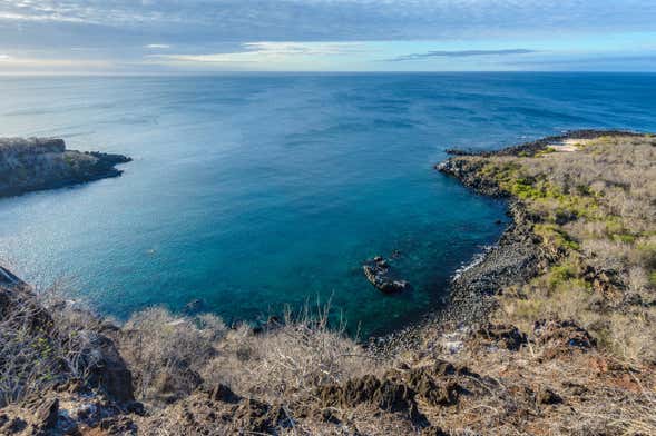 Galapagos: 5-Day San Cristobal Island Tour + Scuba Diving