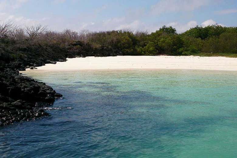 White Rose Bay on San Cristóbal Island