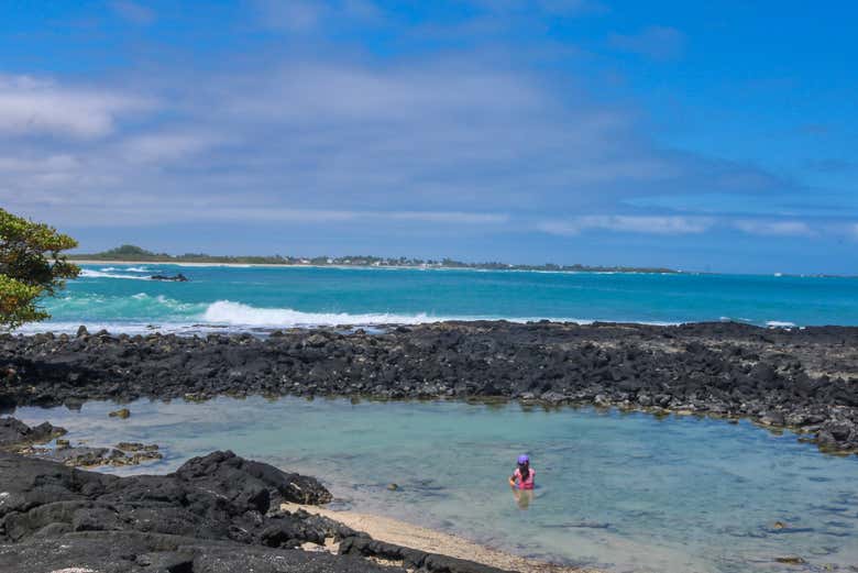 Explore the volcanic beaches of the Galapagos