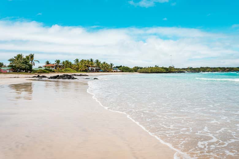 Isabela Island has beautiful scenery