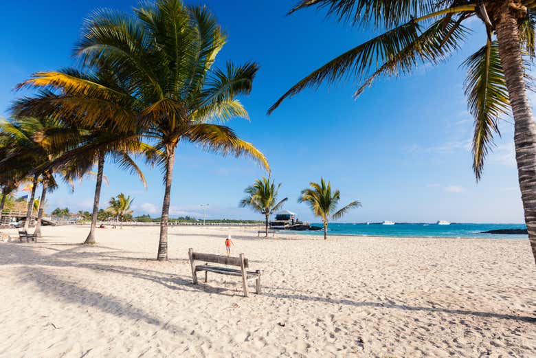 A dreamlike beach on Isabela Island