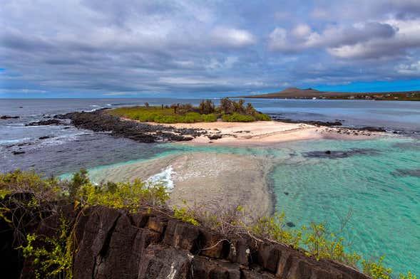 South Galapagos Islands 5 Day Cruise