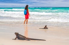 Excursión a Bahía Tortuga