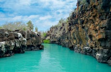 Excursión a Las Grietas y playa de los Alemanes