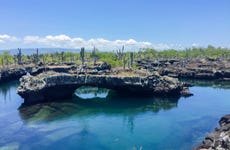 Excursión a Isla Isabela