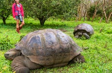 Excursión a la reserva de tortugas gigantes El Chato