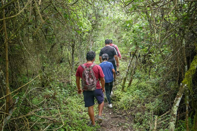 Atravesando el bosque para llegar a la reserva natural