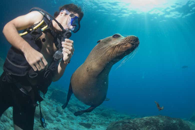 Exploring the waters of the Galapagos Islands