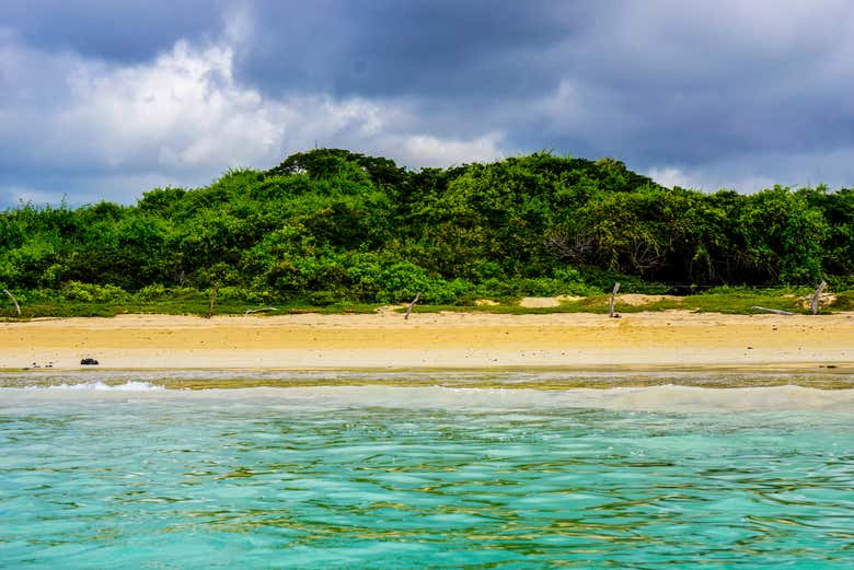 Views of El Garrapatero Beach