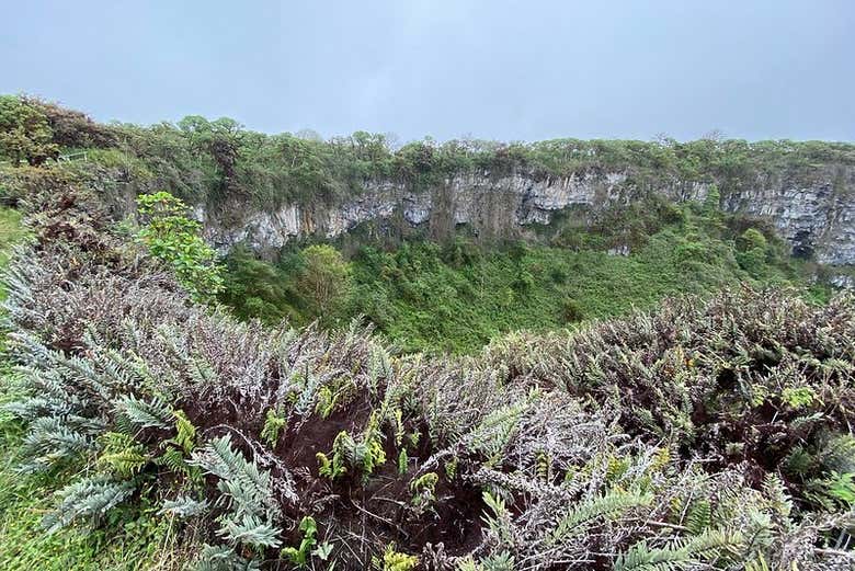 Tour of the Santa Cruz Highlands, Santa Cruz Island - Civitatis