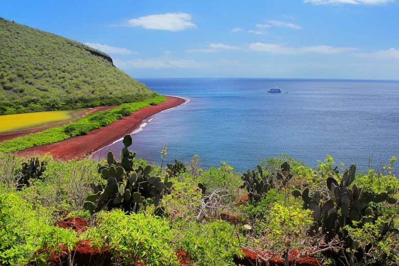 Colourful landscapes of Rabida Island