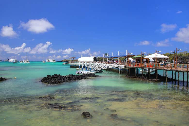 Harbour in Puerto Ayora