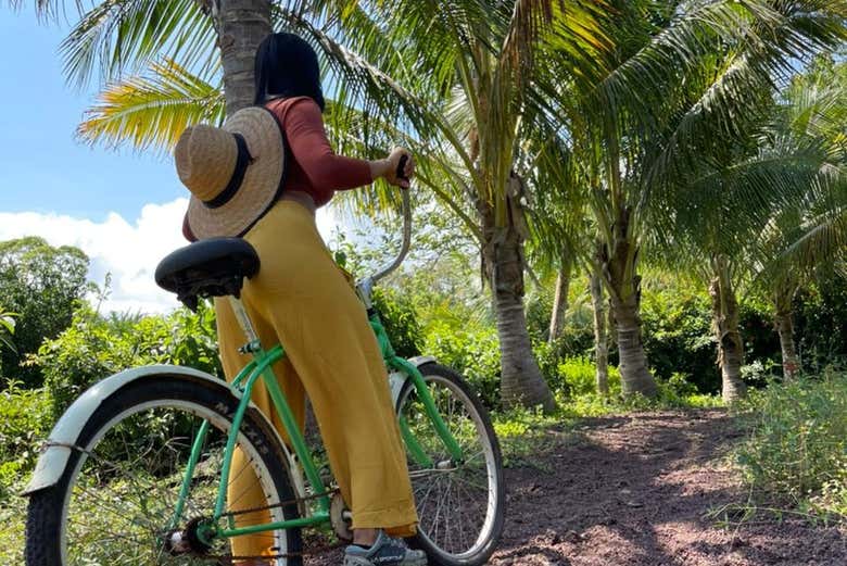 Cycling route around Santa Cruz Island