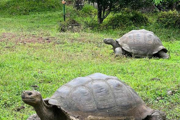 Tour por la Reserva Galápagos Frontier + Túneles de lava