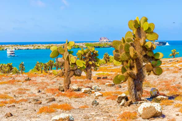 Transporte entre el Aeropuerto de Galápagos y la Isla de Santa Cruz