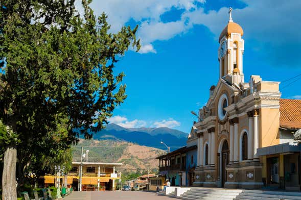 Excursión al Parque Nacional Podocarpus + Vilcabamba