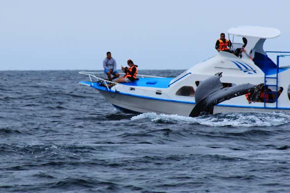 Bautismo de buceo en Puerto López