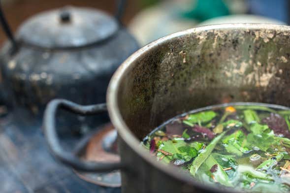 Cérémonie de l'ayahuasca à Templo Jempe