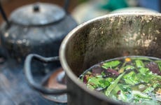 Ceremonia de ayahuasca en Templo Jempe