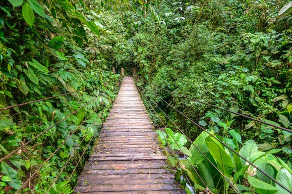 Excursión a Mindo