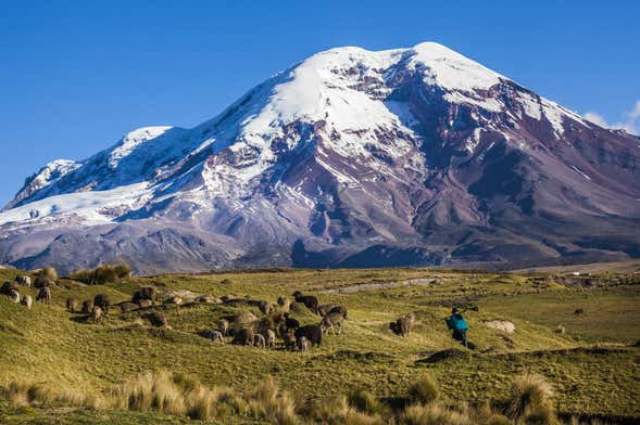 Excursión al volcán Chimborazo