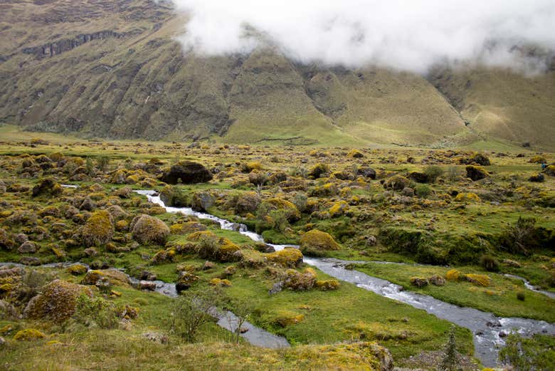 Paisagens do vulcão El Altar 