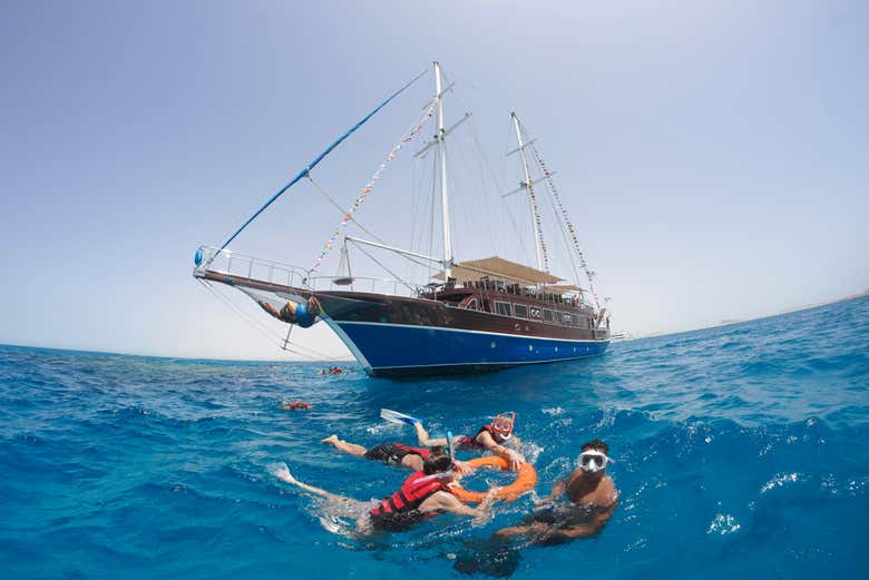 Snorkel in the Red Sea!