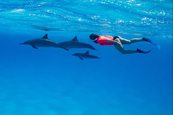 Balade en bateau à Sataya Reef + Snorkeling avec les dauphins