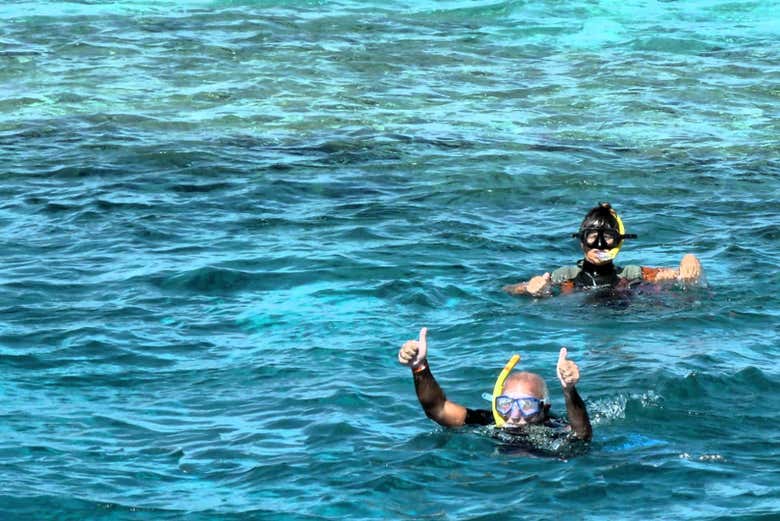 Snorkeling nel Mar Rosso