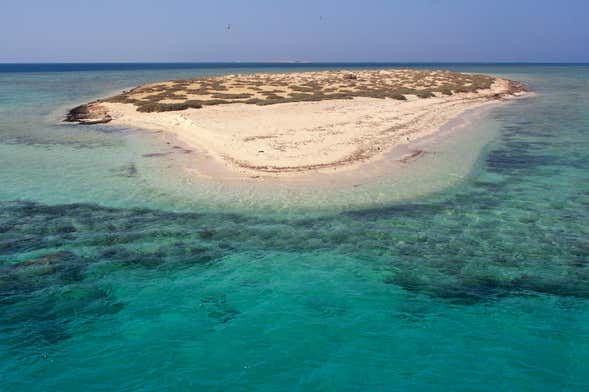 Snorkel in Sharm El Luli + Wadi El Qulaan