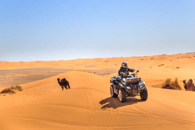 Solcando il deserto in quad