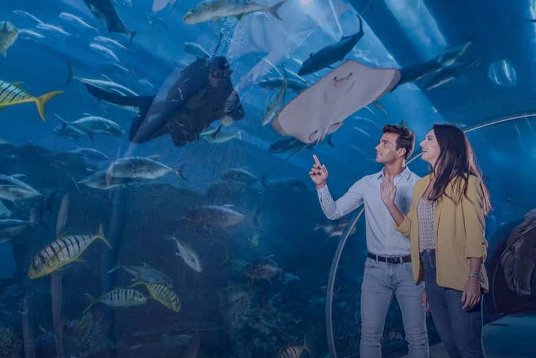 Biglietti Per Il Burj Khalifa + Dubai Aquarium & Underwater Zoo A Dubai