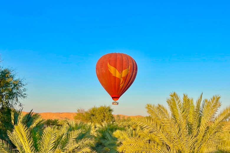 Soar over the desert