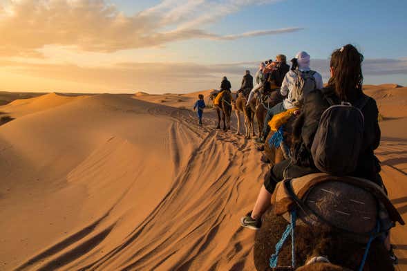 Ras al Khaimah Desert Camel Ride