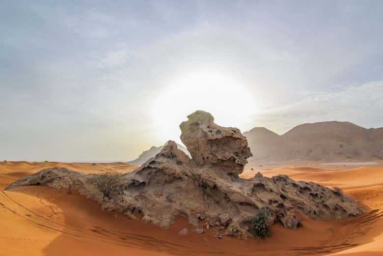 Spot Camel Rock in the mountains