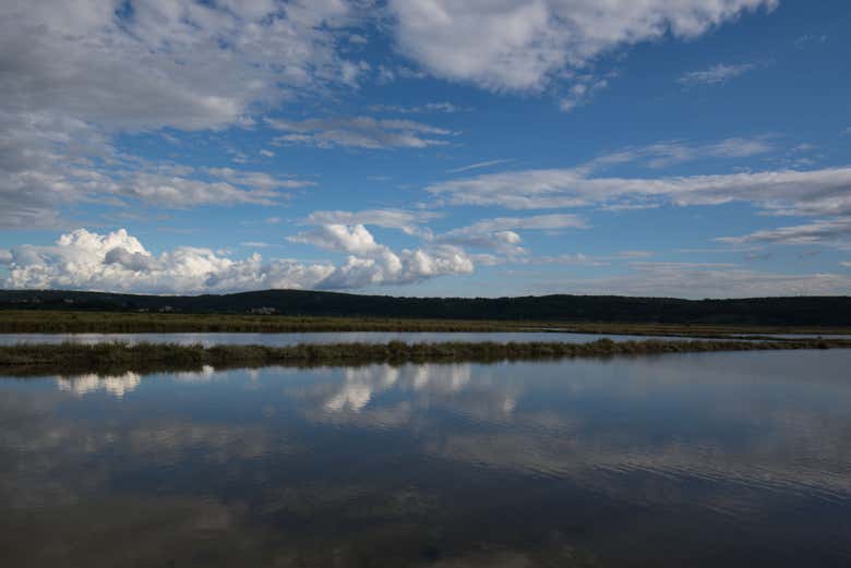 Salt lakes in Sečovlje