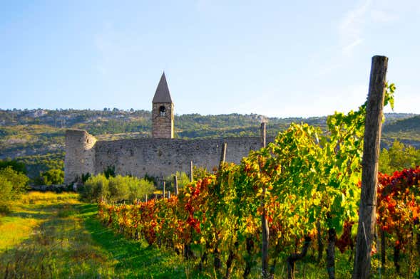 Excursión a Socerb, Hrastovlje y Marezige