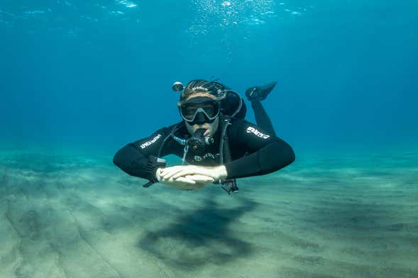 Scuba Diving in Abades