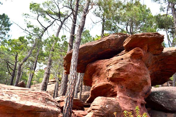 Tour por las pinturas rupestres de los Pinares de Rodeno