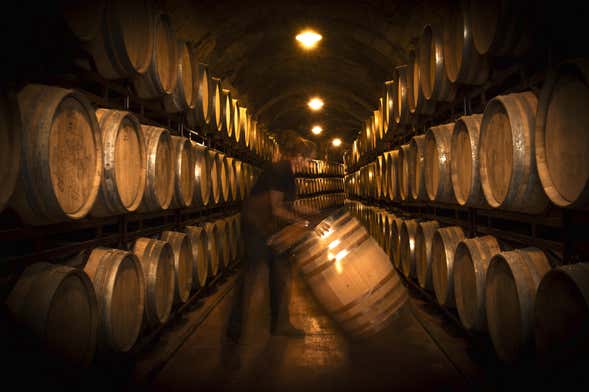 Bodegas Vinícola Real Tour