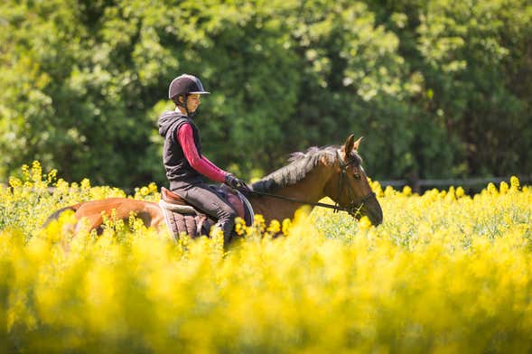 Mallorca Horseback Ride