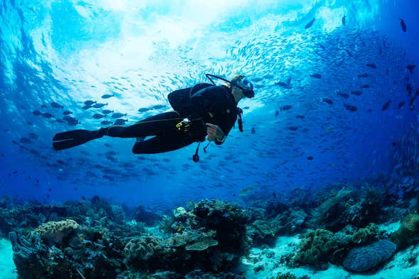 Almuñécar PADI Open Water Diver Course