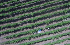 Visita a las bodegas Pérez Hidalgo